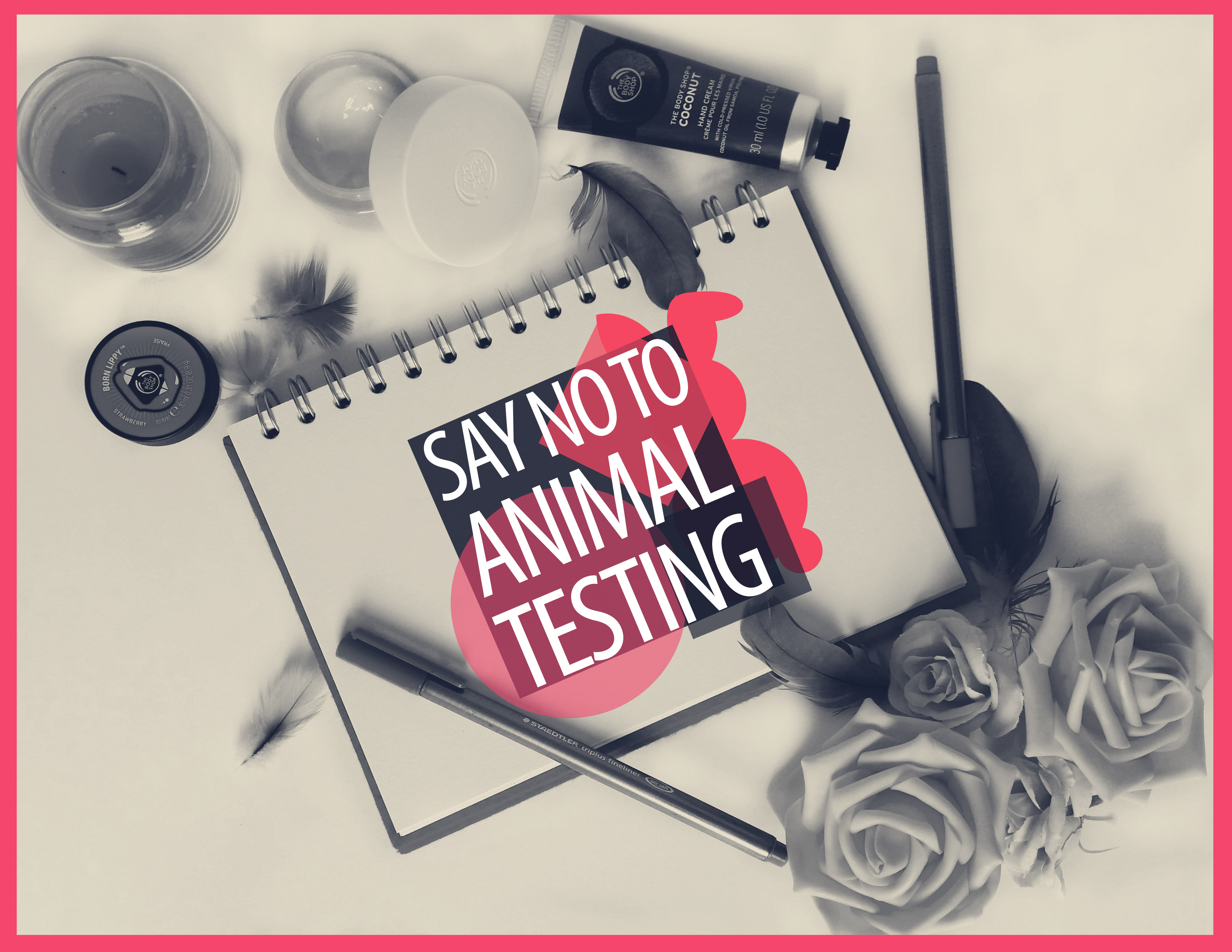 final social grey sketcbookjpg